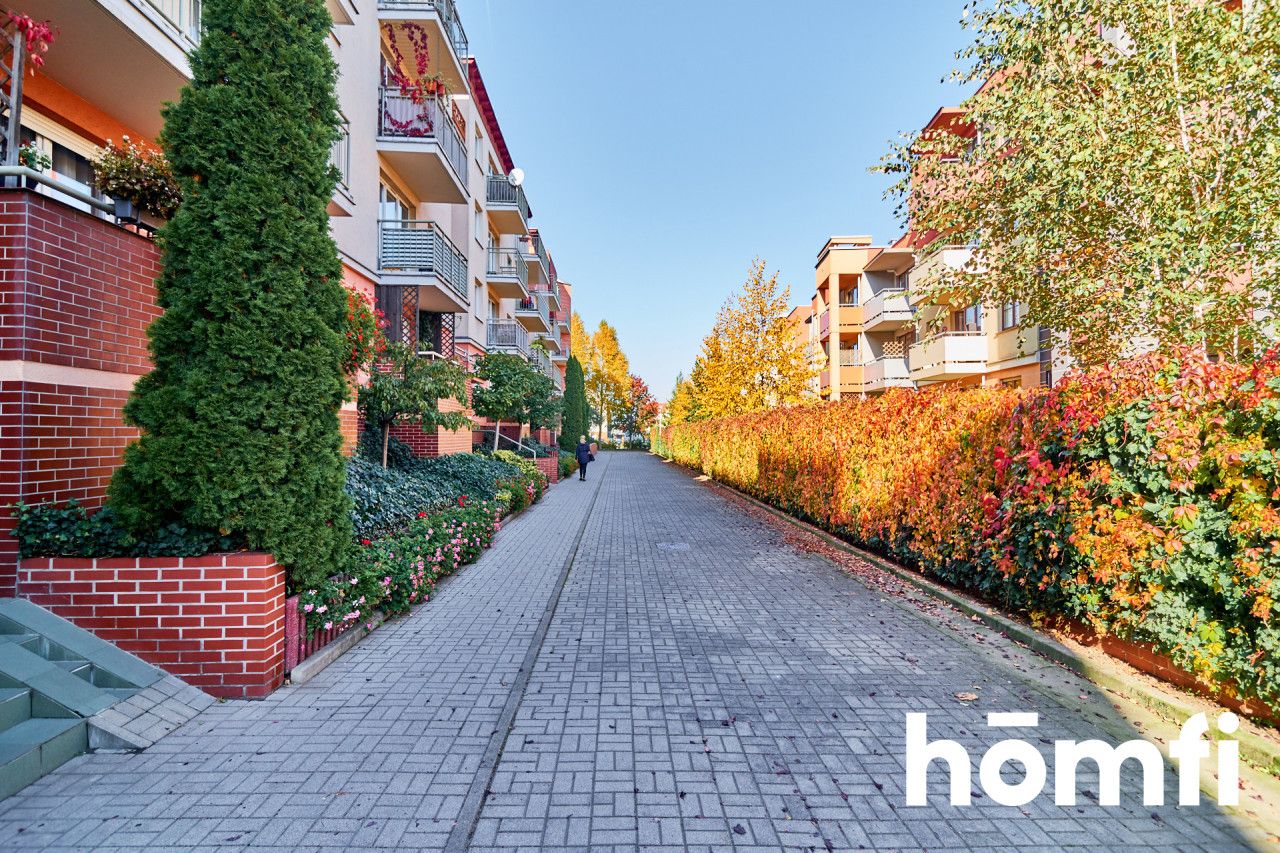 2 pokoje na Jagodnie od 1 października - Mieszkanie - Wynajem - Wrocław, Krzyki / Jagodno