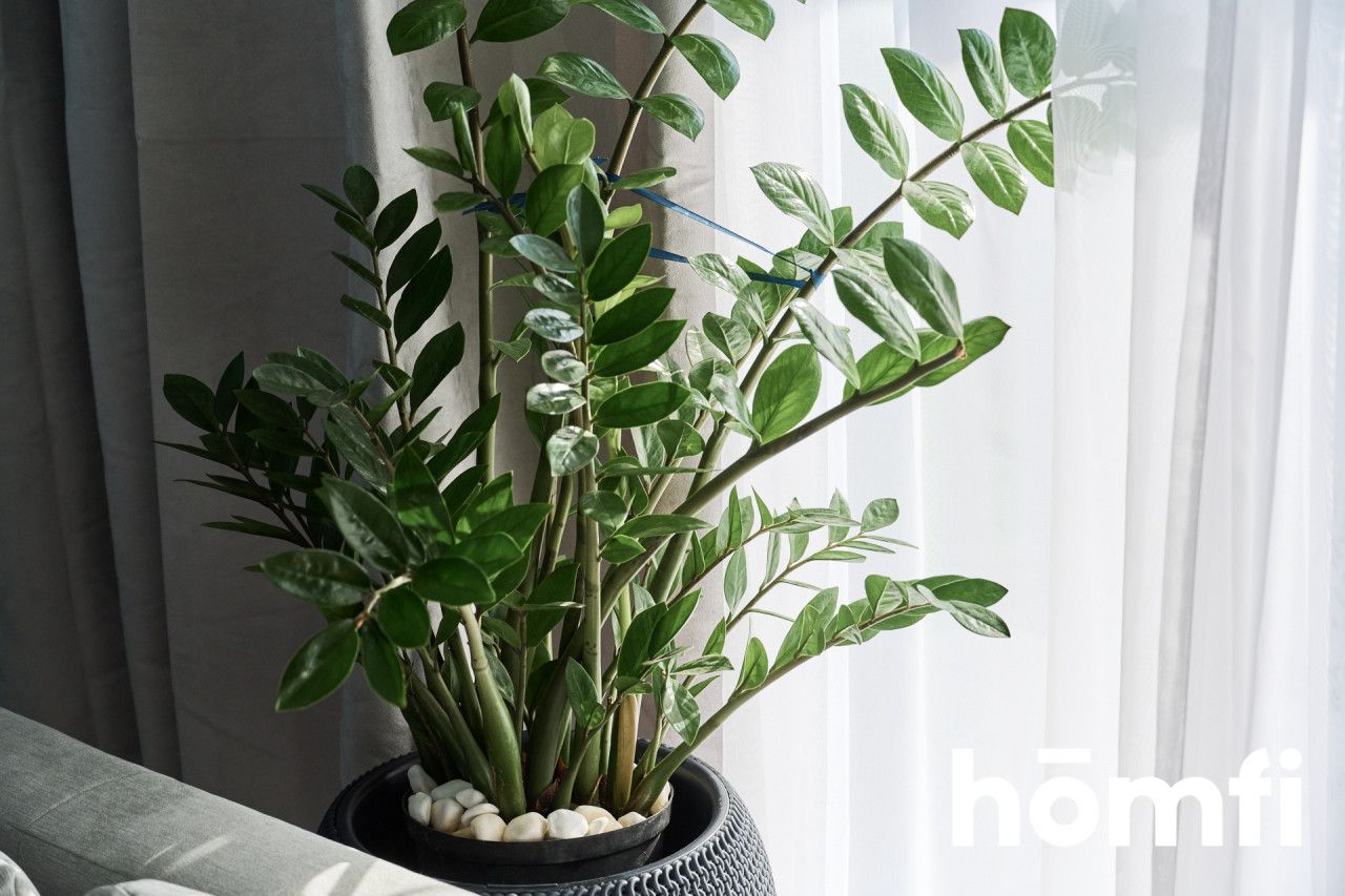 2 scheduled room near Magnolia PIXEL HOUSE - Apartment - Rent - Wrocław, Fabryczna