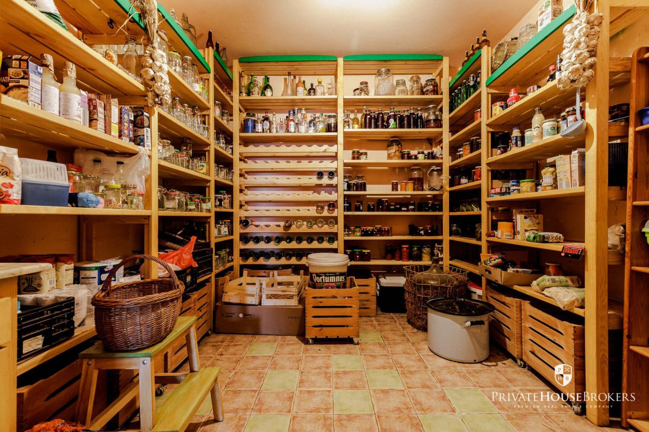 House with a view of the Vistula and Kampinos Forest - House - Sale - Nowodworski, Zakroczym / Wólka Smoszewska