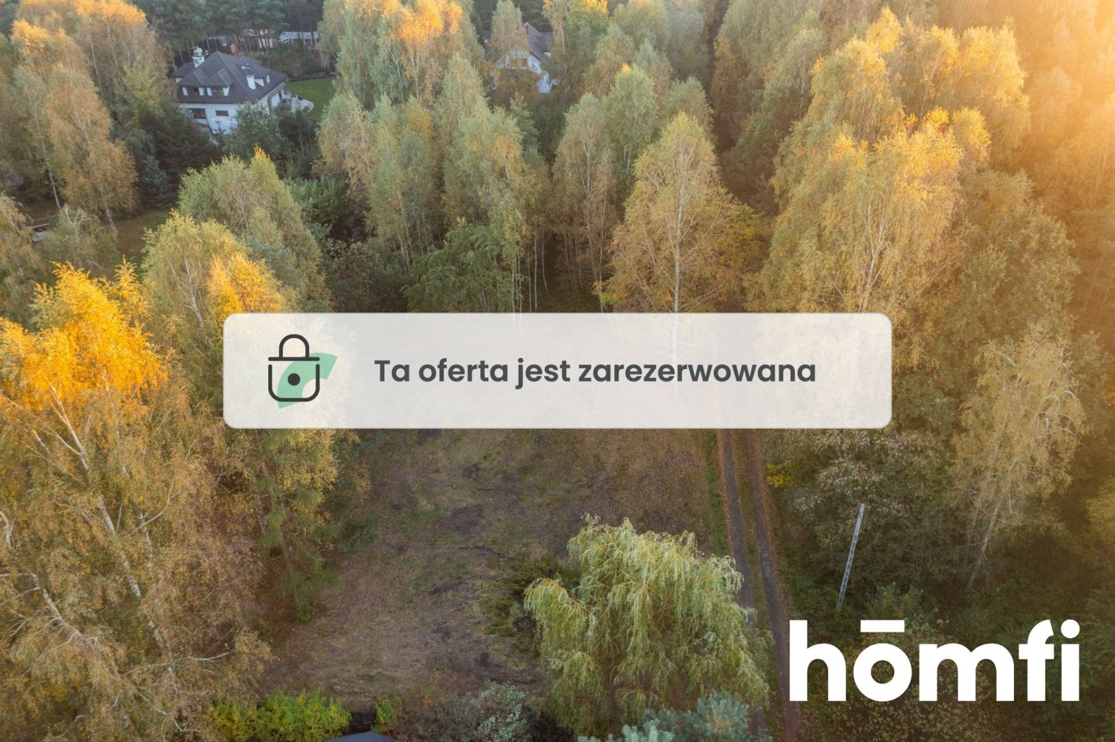 Building plot with a pond in the buffer zone of the forest - Plot - Sale - Grodziski, Grodzisk Mazowiecki / Radonie