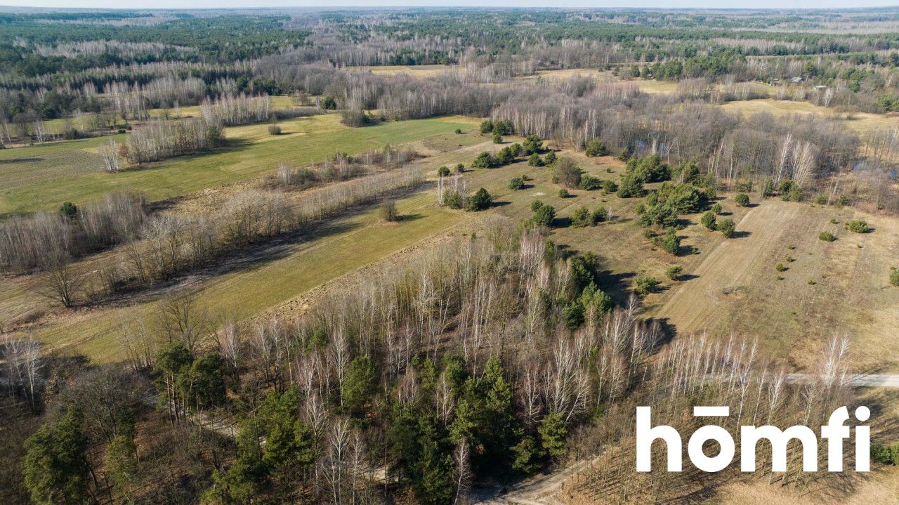 Plot surrounded by a forest - Plot - Sale - Radomski, Jastrzębia / Goryń