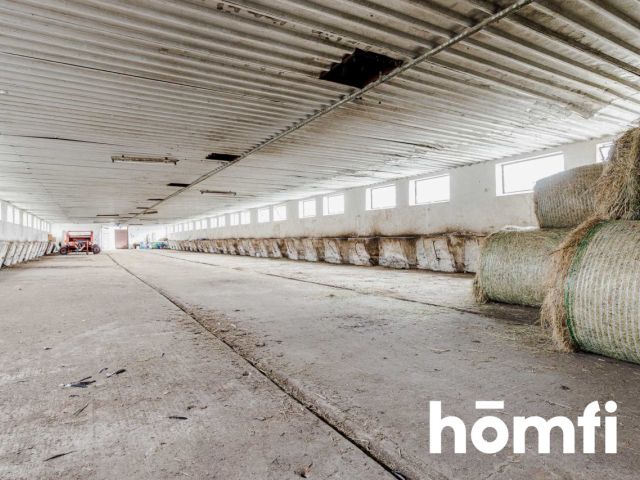 Działka z halą i domem w Wieliszewie na sprzedaż - Lokal użytkowy - Sprzedaż - Legionowski, Wieliszew