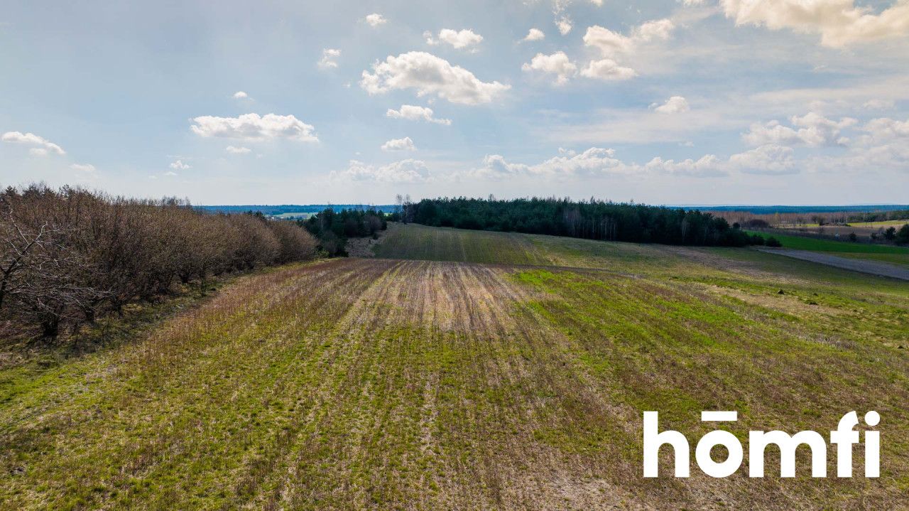 Pięknie położona działka budowlana przy Puszczy Iłżeckiej - Działka - Sprzedaż - Radomski, Iłża / Gajówka Jasieniec