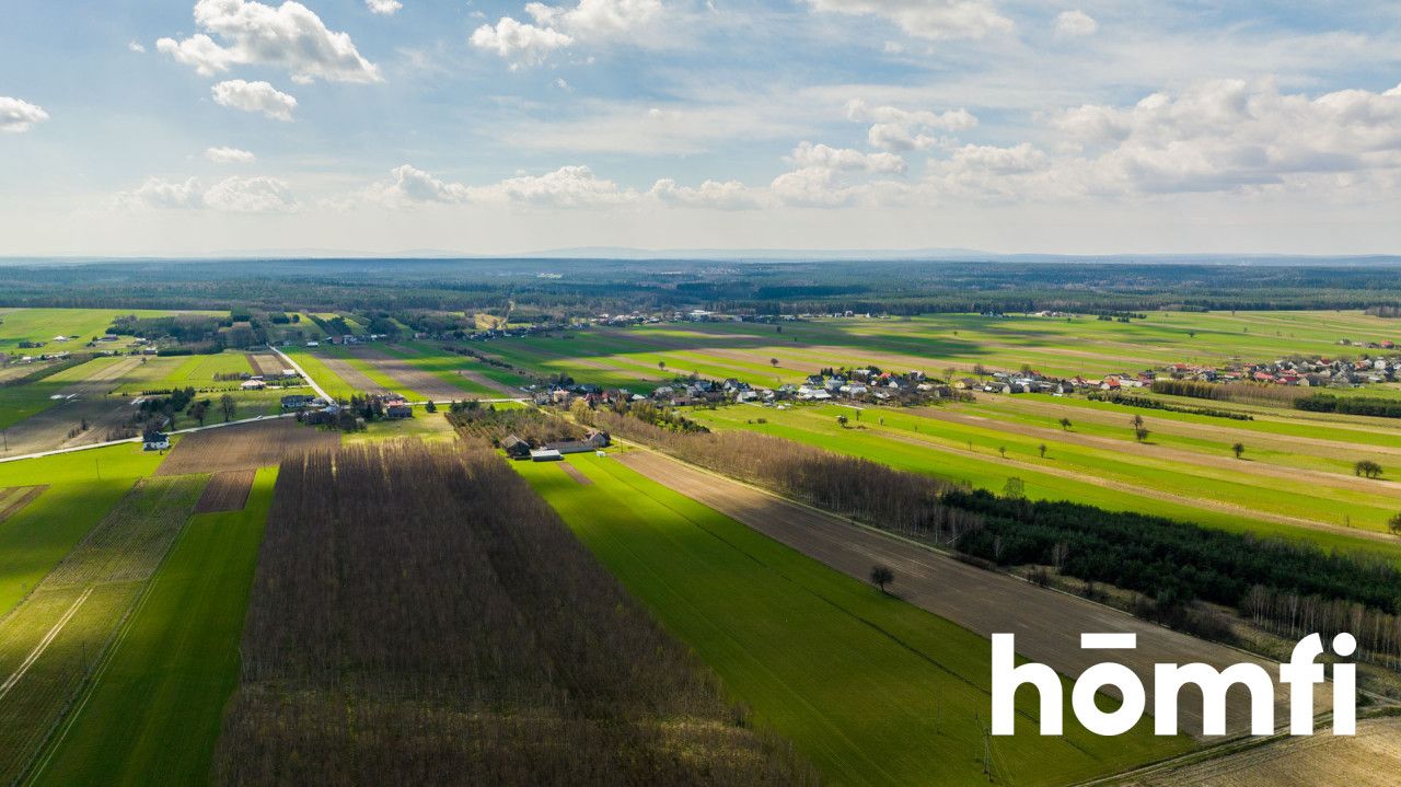 Pięknie położona działka budowlana przy Puszczy Iłżeckiej - Działka - Sprzedaż - Radomski, Iłża / Gajówka Jasieniec
