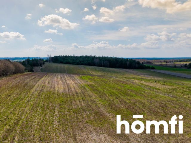 Pięknie położona działka budowlana przy Puszczy Iłżeckiej - Działka - Sprzedaż - Radomski, Iłża / Gajówka Jasieniec