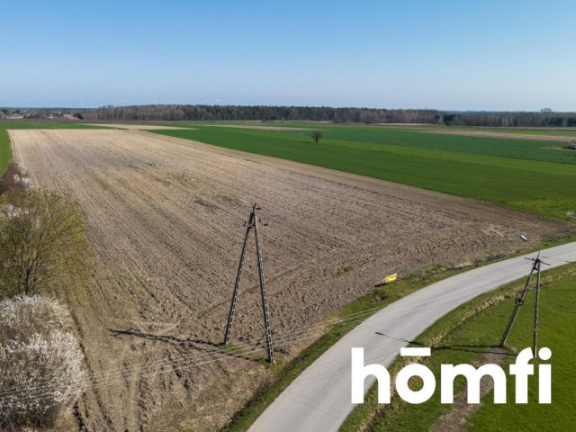 The perfect space for your dream home! - Plot - Sale - Radomski, Skaryszew / Chomentów-Puszcz