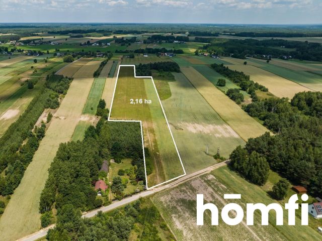 Agricultural and construction plots in a unique area! - Plot - Sale - Radomski, Jastrzębia / Wola Goryńska