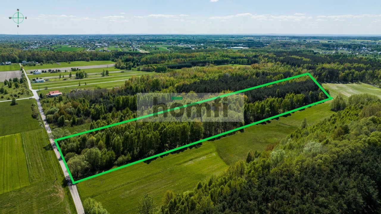 Plot surrounded by a forest, 8800 m2 - Plot - Sale - Radomski, Zakrzew / Dąbrówka Nagórna-Wieś