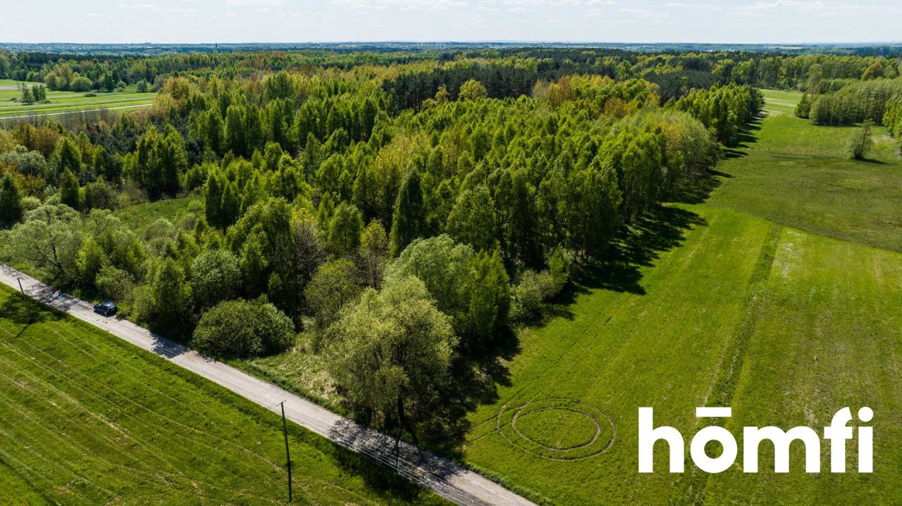 Plot surrounded by a forest, 8800 m2 - Plot - Sale - Radomski, Zakrzew / Dąbrówka Nagórna-Wieś