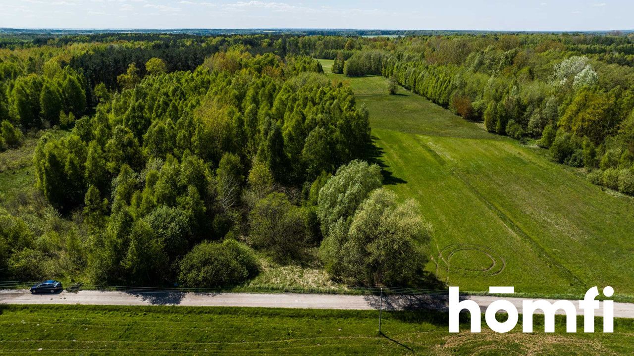 Plot surrounded by a forest, 8800 m2 - Plot - Sale - Radomski, Zakrzew / Dąbrówka Nagórna-Wieś