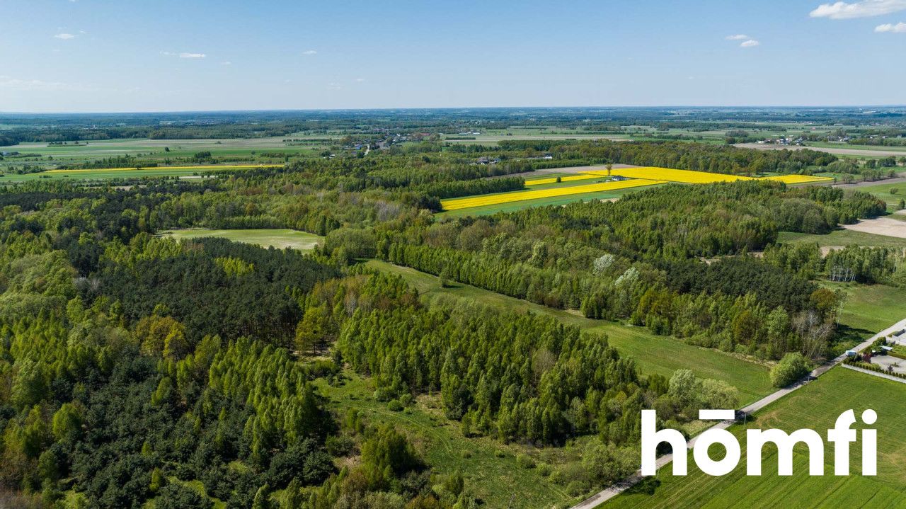 Plot surrounded by a forest, 8800 m2 - Plot - Sale - Radomski, Zakrzew / Dąbrówka Nagórna-Wieś