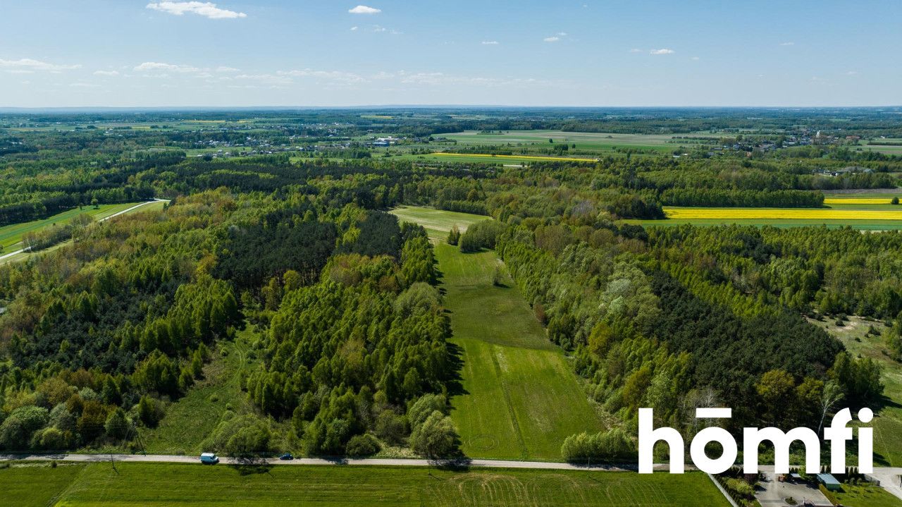 Plot surrounded by a forest, 8800 m2 - Plot - Sale - Radomski, Zakrzew / Dąbrówka Nagórna-Wieś
