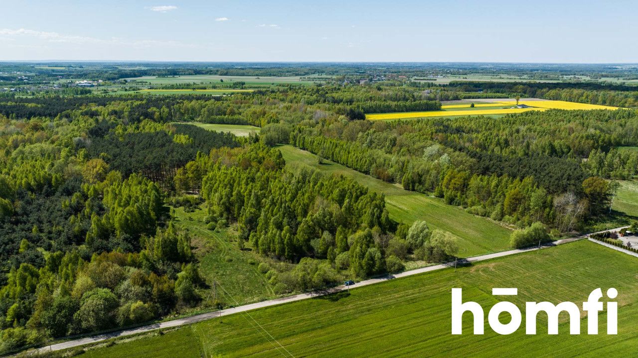 Plot surrounded by a forest, 8800 m2 - Plot - Sale - Radomski, Zakrzew / Dąbrówka Nagórna-Wieś