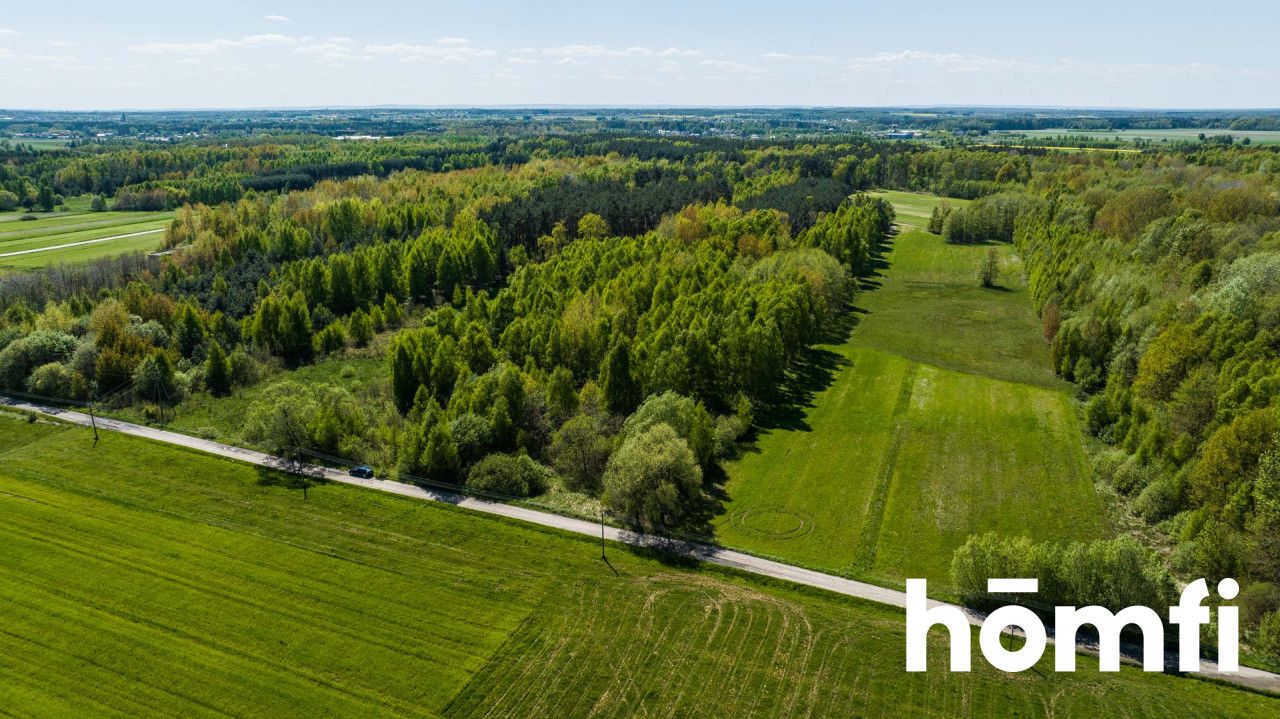 Plot surrounded by a forest, 8800 m2 - Plot - Sale - Radomski, Zakrzew / Dąbrówka Nagórna-Wieś