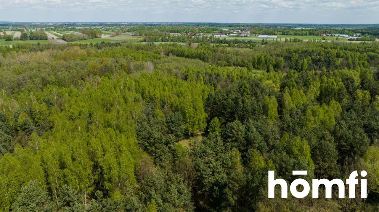 Działka budowlana z domkiem, blisko zalewu w Domaniowie - Działka - Sprzedaż - Radomski, Przytyk / Wólka Domaniowska