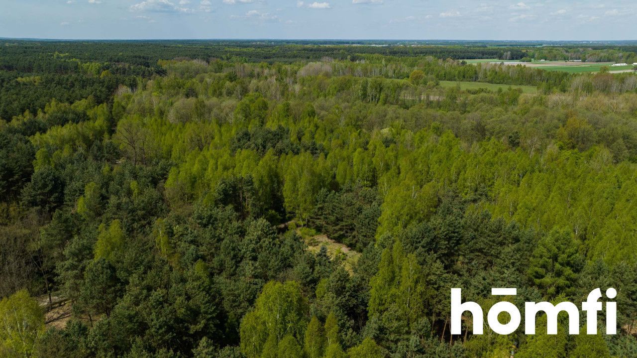 Działka budowlana z domkiem, blisko zalewu w Domaniowie - Działka - Sprzedaż - Radomski, Przytyk / Wólka Domaniowska