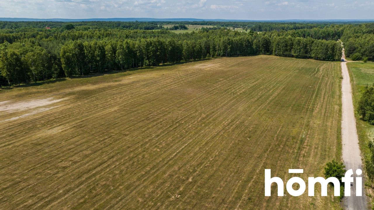 Plot for building just on Szydłowiec city limits - beautifull location - Plot - Sale - Szydłowiecki, Szydłowiec / Zdziechów