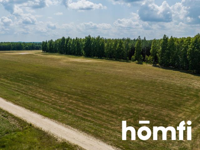 Działka inwestycyjna na granicy Szydłowca - urocza lokalizacja - Działka - Sprzedaż - Szydłowiecki, Szydłowiec / Zdziechów