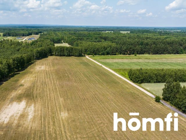 Działka inwestycyjna na granicy Szydłowca - urocza lokalizacja - Działka - Sprzedaż - Szydłowiecki, Szydłowiec / Zdziechów