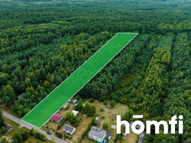 A forest plot in the vicinity of the Kozienice Forest - Plot - Sale - Kozienicki, Garbatka-Letnisko / Brzustów