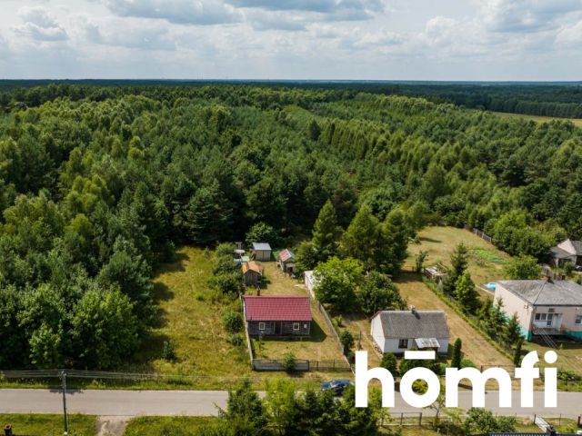 A forest plot in the vicinity of the Kozienice Forest - Ділянка - Продаж - Kozienicki, Garbatka-Letnisko / Brzustów