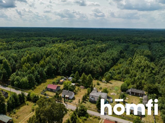 A forest plot in the vicinity of the Kozienice Forest - Ділянка - Продаж - Kozienicki, Garbatka-Letnisko / Brzustów