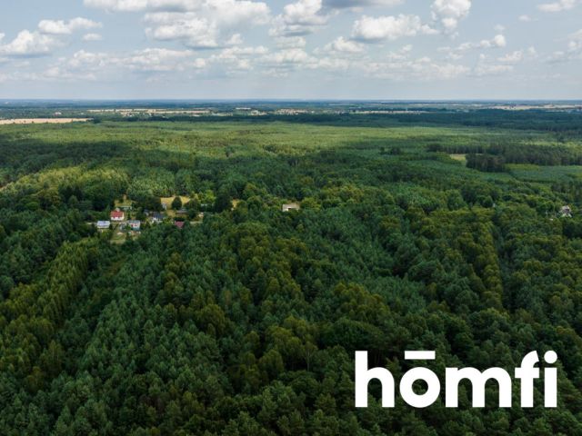 A forest plot in the vicinity of the Kozienice Forest - Plot - Sale - Kozienicki, Garbatka-Letnisko / Brzustów