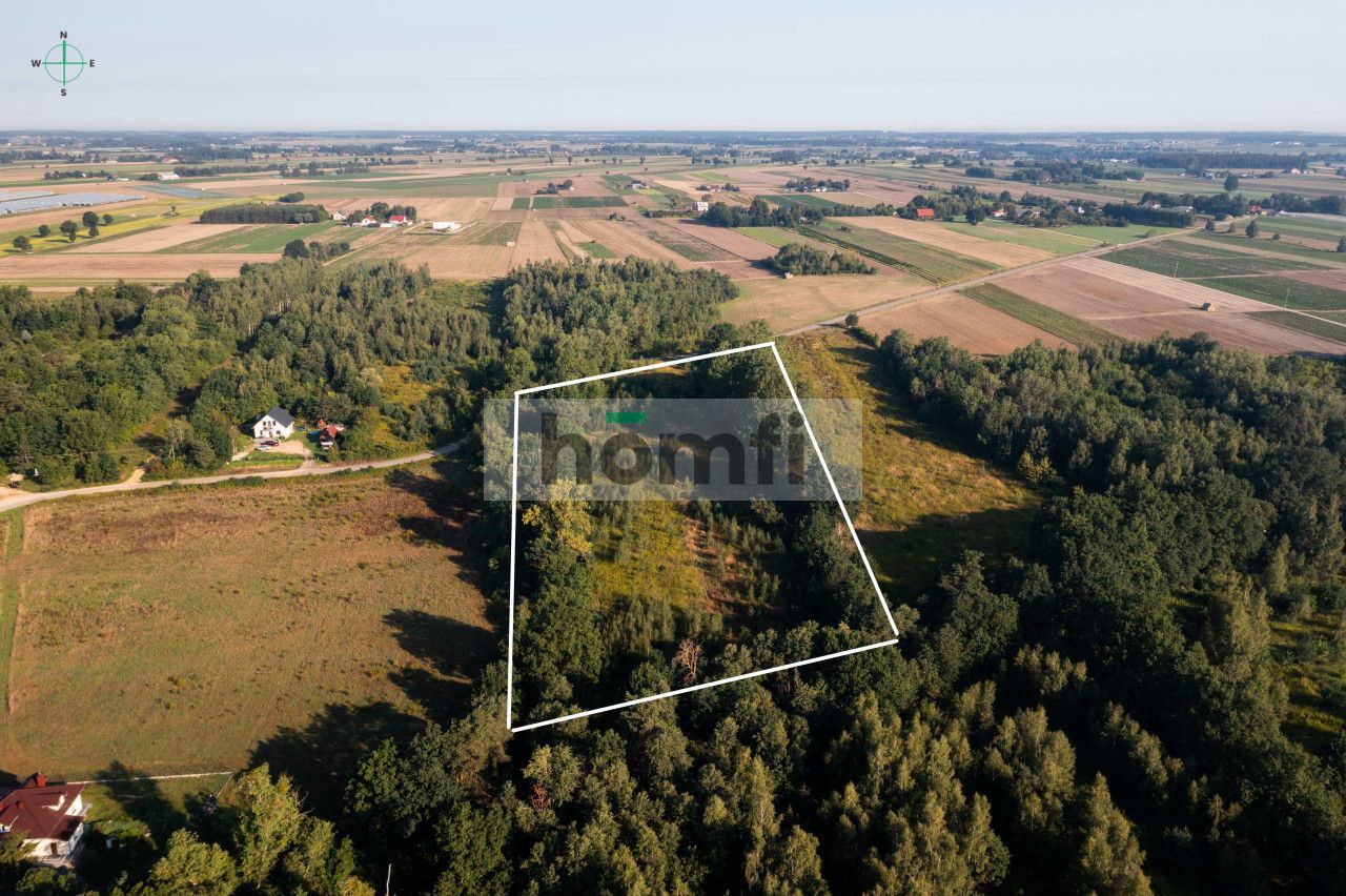 PIĘKNA DZIAŁKA Z WŁASNYM PASMEM ZADRZEWIEŃ Z WIDOKIEM NA WISŁĘ - Działka - Sprzedaż - Płoński, Czerwińsk Nad Wisłą / Miączyn