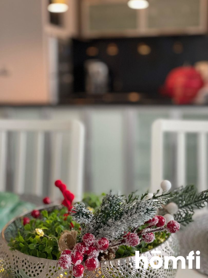 Apartament z samodzielnym garażem i piwnicą - Mieszkanie - Wynajem - Kraków, Śródmieście / Grzegórzki