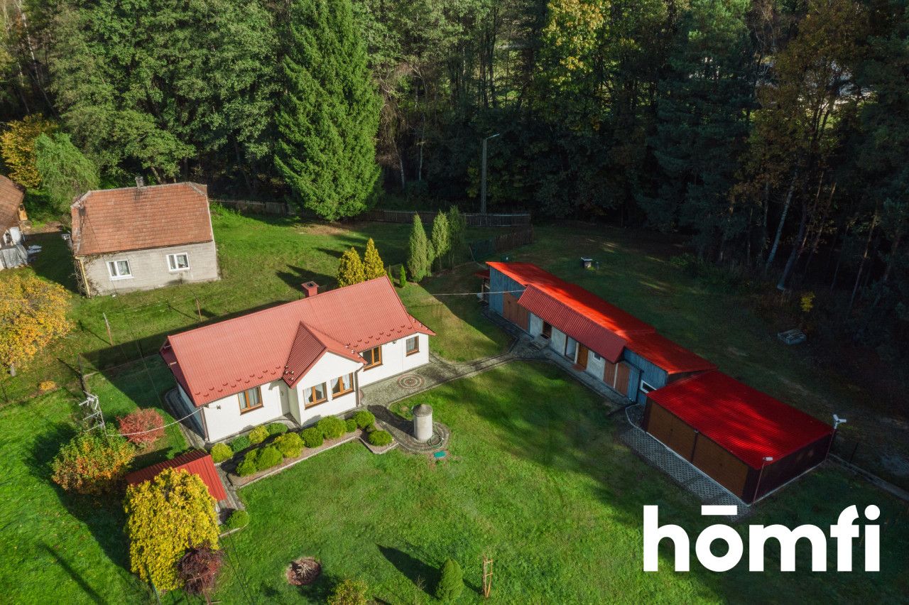 Plot with buildings for sale Czarna Tarnowska - Plot - Sale - Dębicki, Czarna