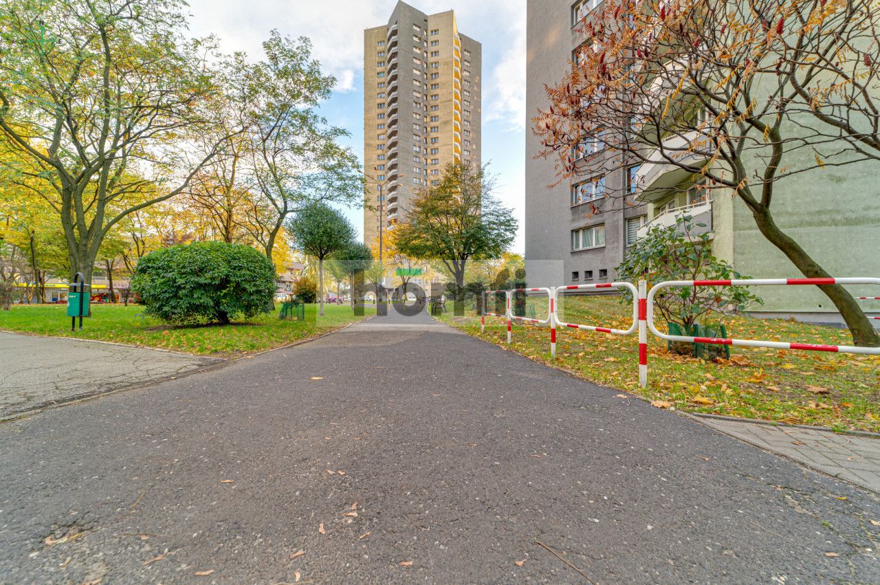 59,5 m2 z widokiem na panoramę miasta i zachód - Mieszkanie - Wynajem - Katowice, os. Gwiazdy