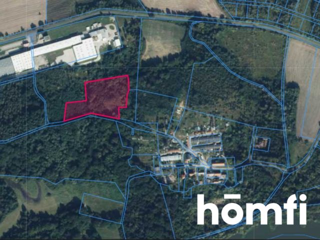 DZIAŁKA INWESTYCYJNA W POGALEWIE WIELKIM -1,67 HA - Działka - Sprzedaż - Wołowski, Brzeg Dolny / Pogalewo Wielkie