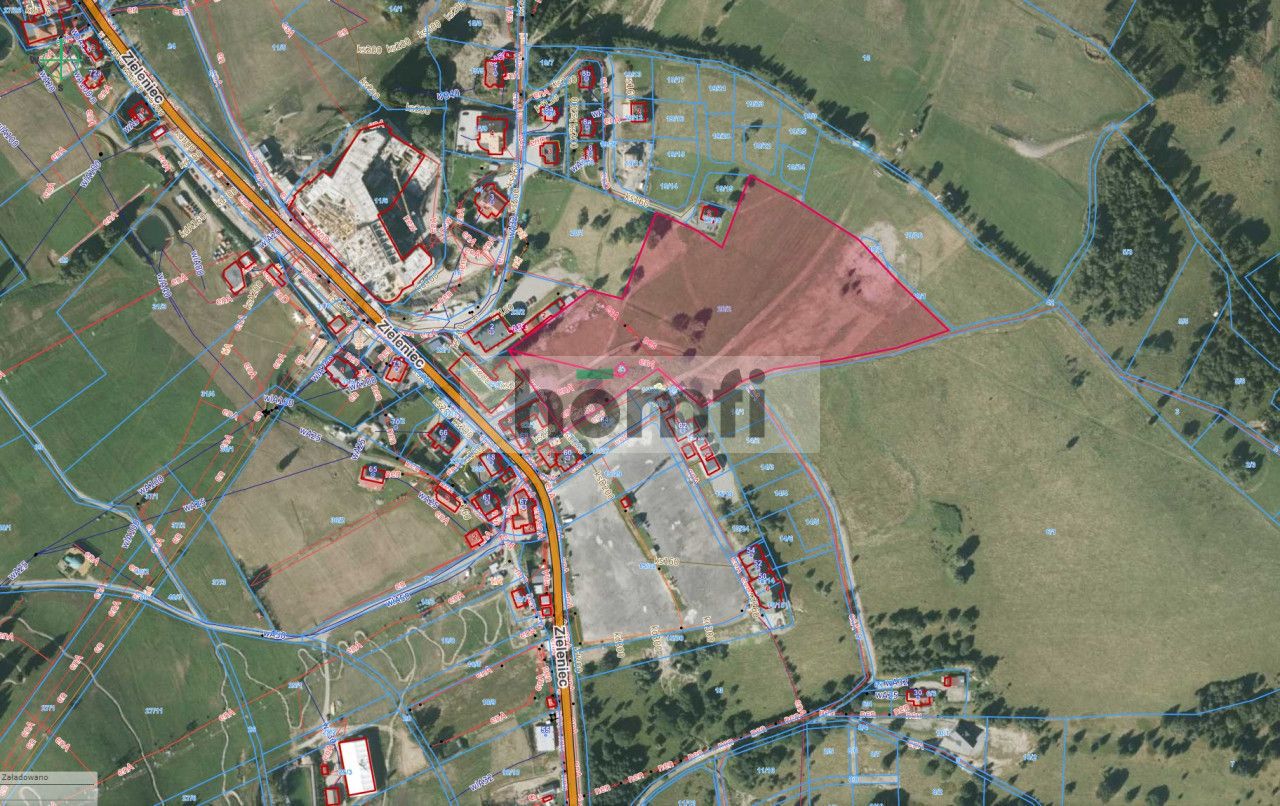 DZIAŁKA INWESTYCYJNA W CENTRUM ZIELEŃCA 2,98 HA - Działka - Sprzedaż - Kłodzki, Duszniki-Zdrój / Zieleniec