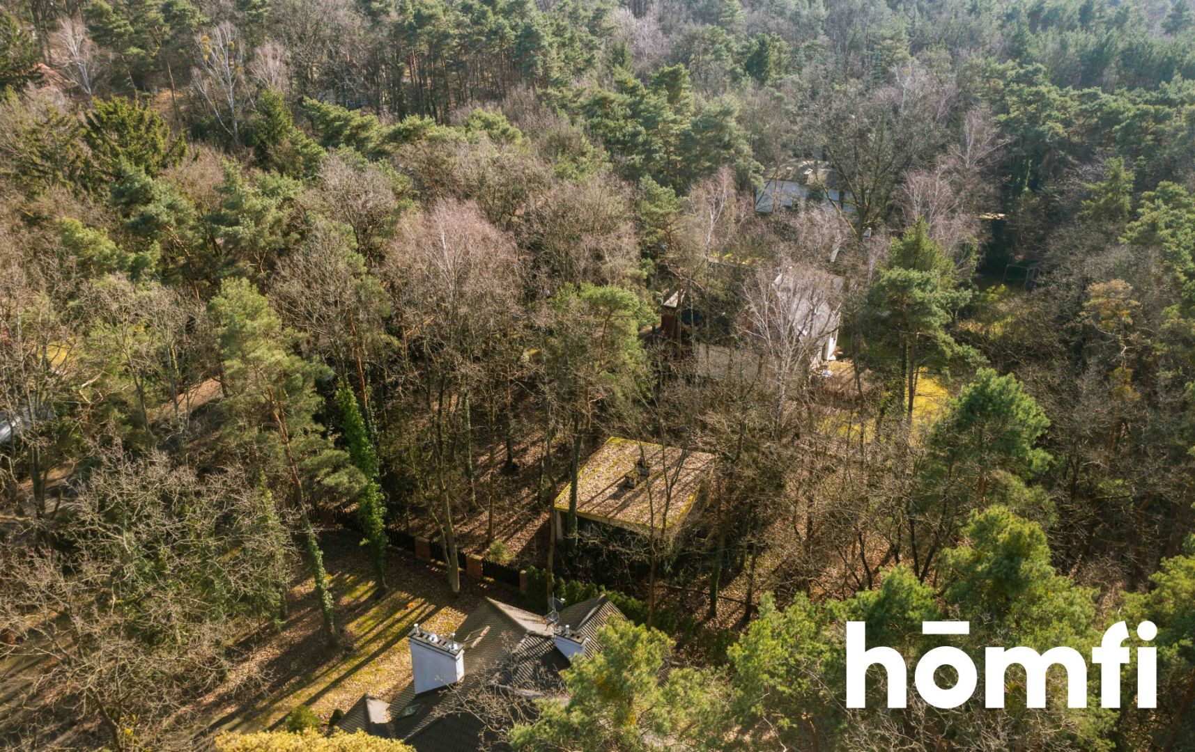 PIĘKNA DZIAŁKA LEŚNA DO ZABUDOWY JEDNORODZINNEJ - Działka - Sprzedaż - Grodziski, Podkowa Leśna