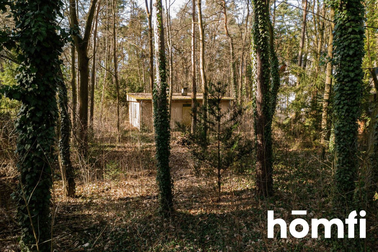 PIĘKNA DZIAŁKA LEŚNA DO ZABUDOWY JEDNORODZINNEJ - Działka - Sprzedaż - Grodziski, Podkowa Leśna