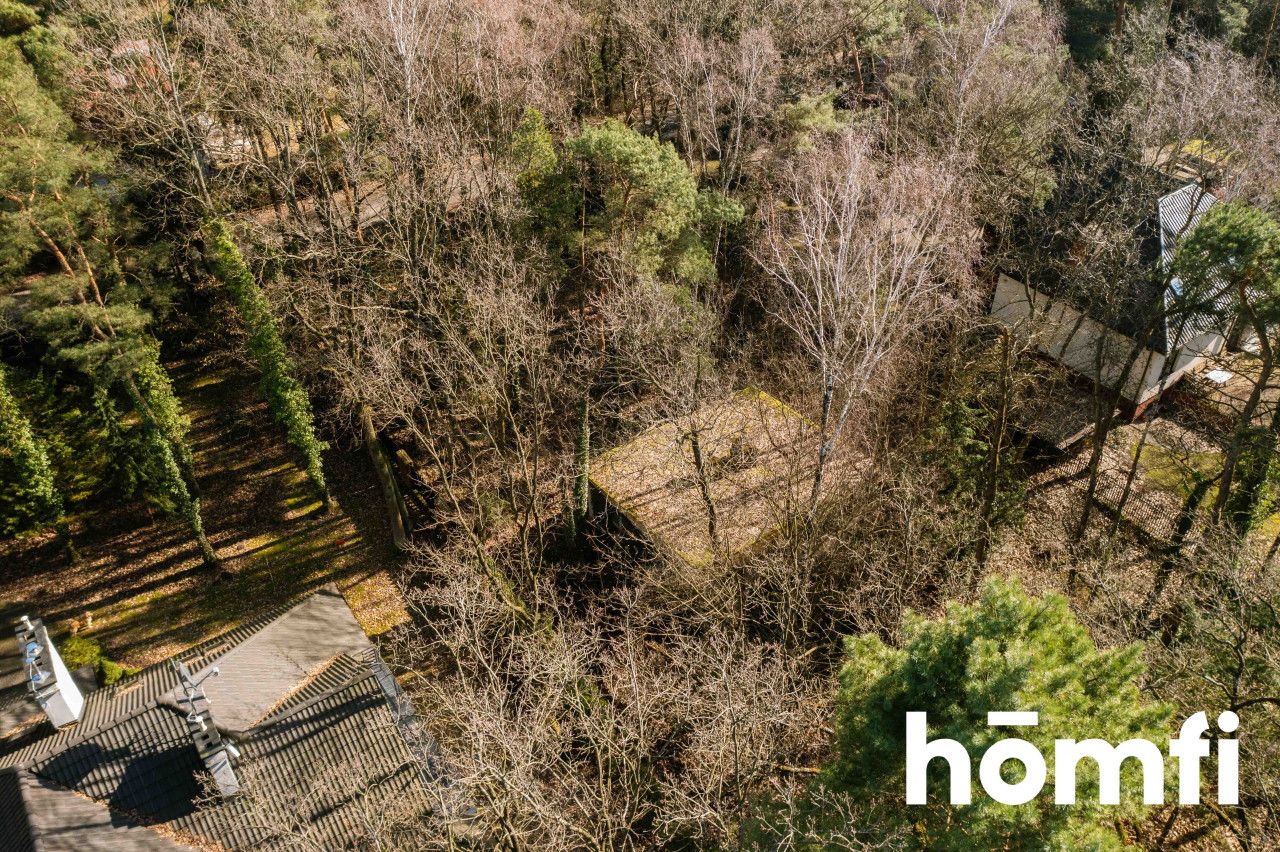 PIĘKNA DZIAŁKA LEŚNA DO ZABUDOWY JEDNORODZINNEJ - Działka - Sprzedaż - Grodziski, Podkowa Leśna