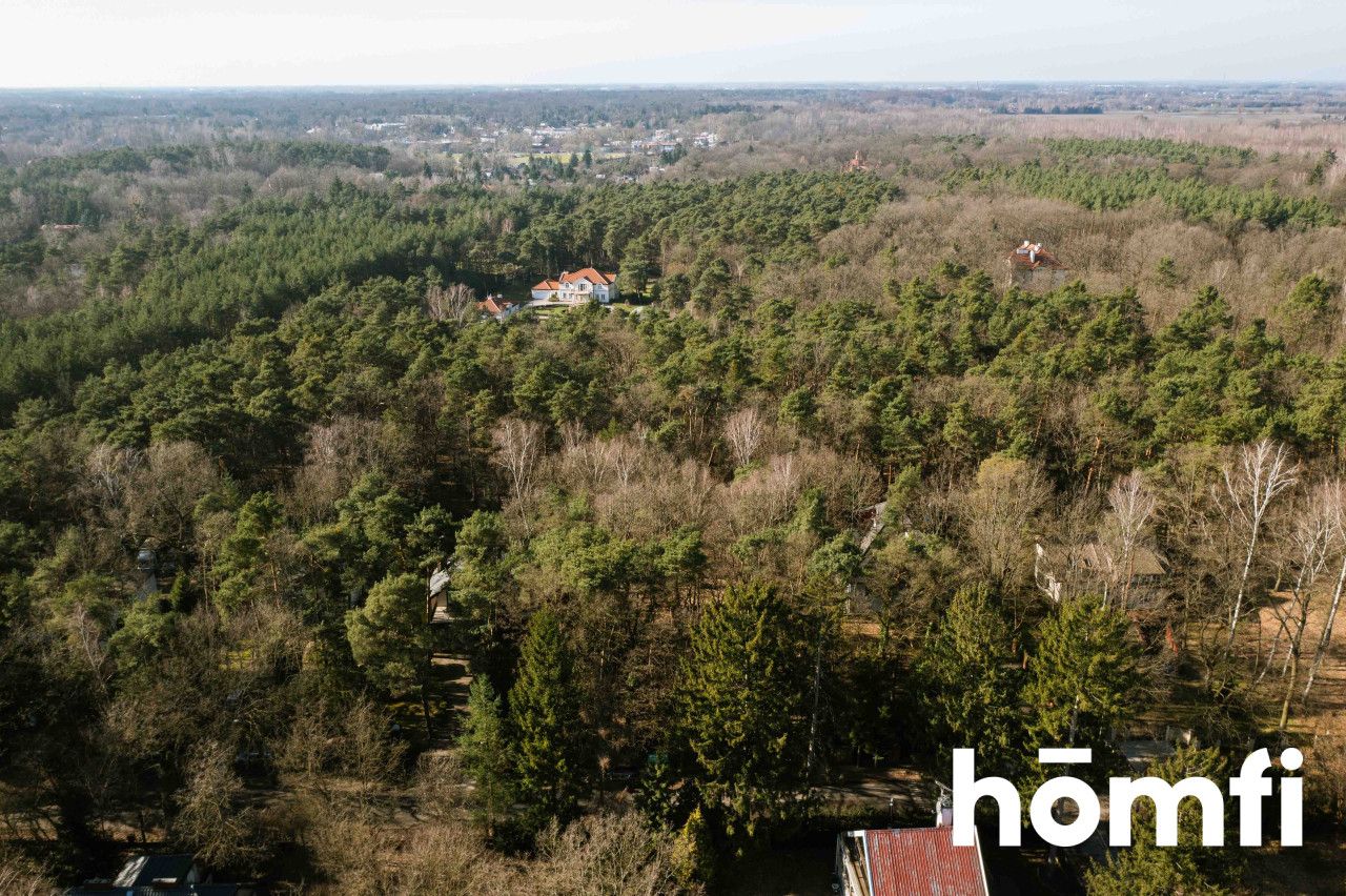 PIĘKNA DZIAŁKA LEŚNA DO ZABUDOWY JEDNORODZINNEJ - Działka - Sprzedaż - Grodziski, Podkowa Leśna