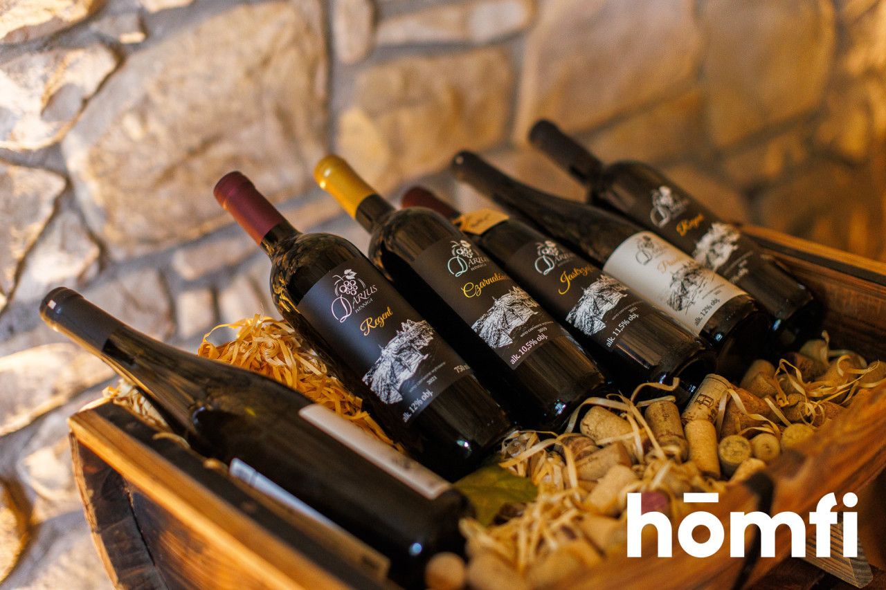 Cudowna winnica z poteżnym potenciałel w Gwoznicy Górnej - Dom - Sprzedaż - Strzyżowski, Niebylec / Gwoźnica Górna