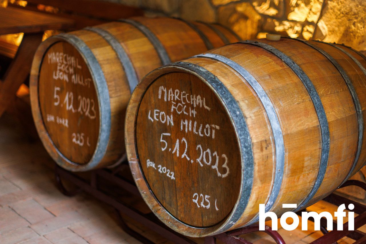 Cudowna winnica z poteżnym potenciałel w Gwoznicy Górnej - Dom - Sprzedaż - Strzyżowski, Niebylec / Gwoźnica Górna