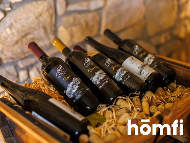 Cudowna winnica z poteżnym potenciałel w Gwoznicy Górnej - Dom - Sprzedaż - Strzyżowski, Niebylec / Gwoźnica Górna