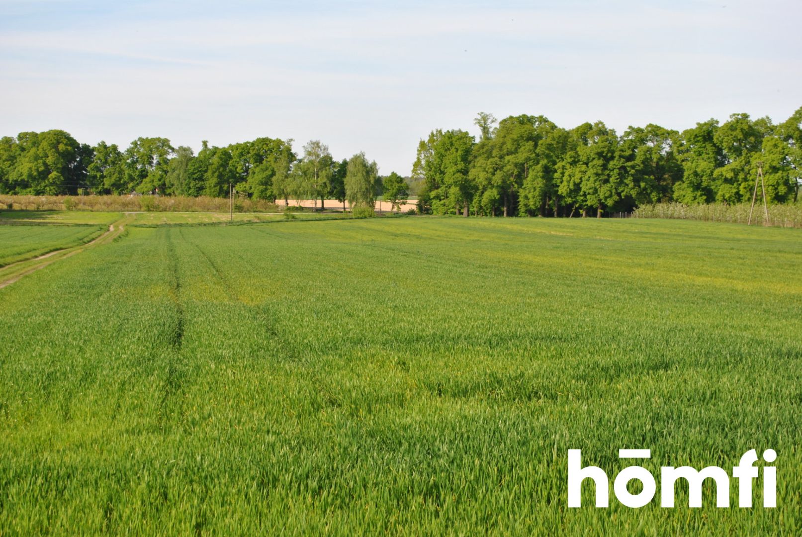 Plot in a beautiful area with many possibilities - Ділянка - Продаж - Warszawski Zachodni, Kampinos / Pasikonie