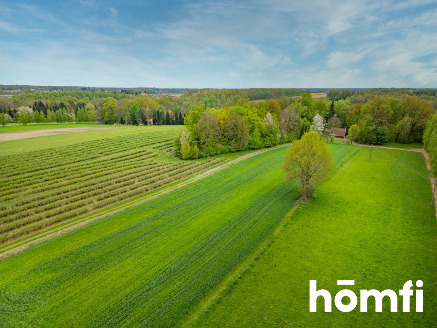 A picturesque plot near Nałęczów - Ділянка - Продаж - Puławski, Nałęczów / Drzewce-Kolonia