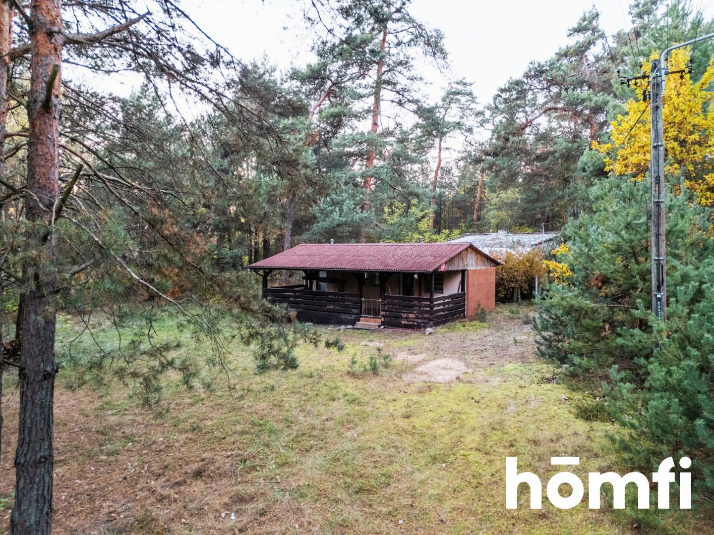 Przepiękna, leśna działka w dolinie Drzewiczki - Działka - Sprzedaż - Przysuski, Klwów / Ligęzów