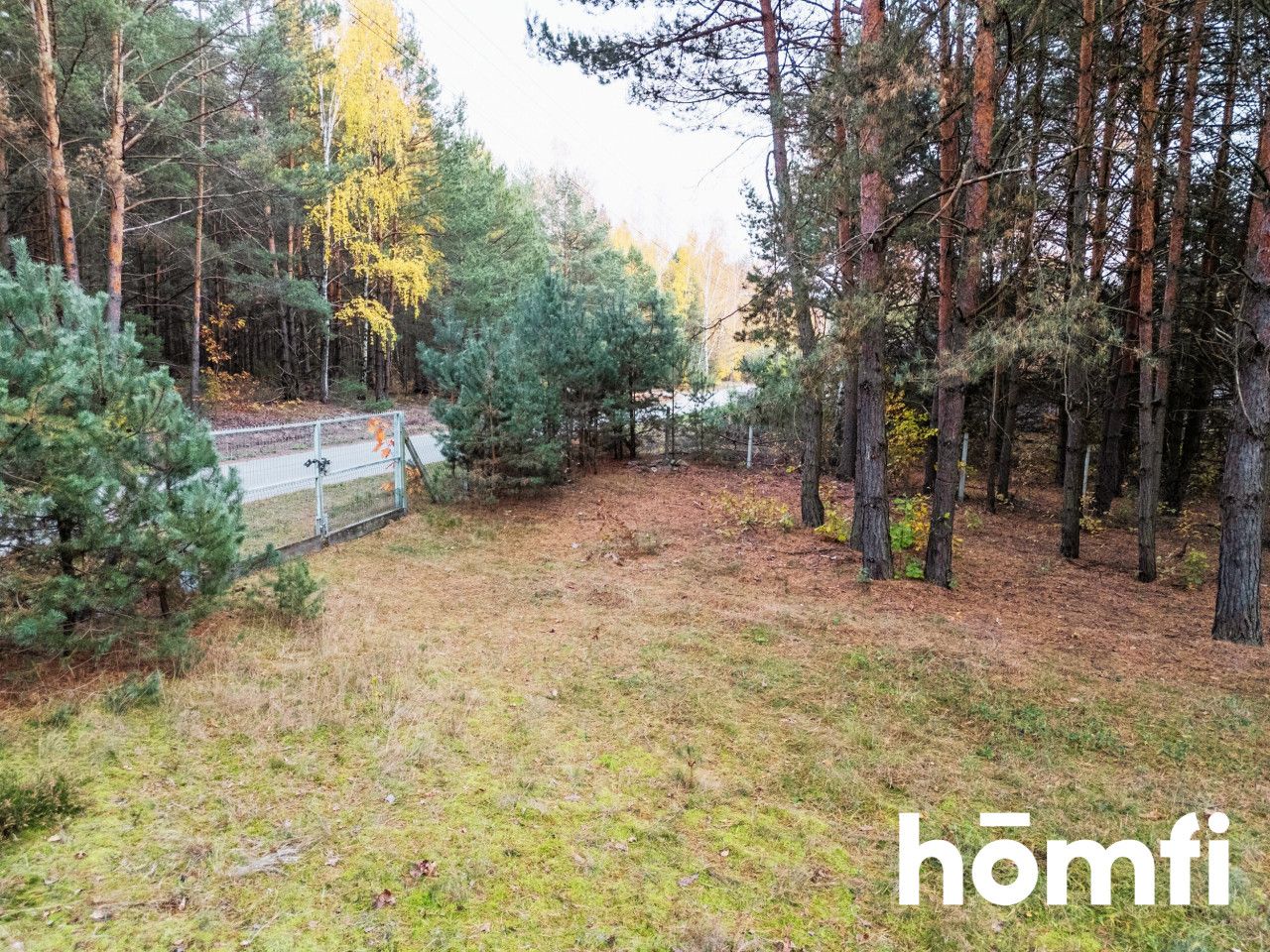 Przepiękna, leśna działka w dolinie Drzewiczki - Działka - Sprzedaż - Przysuski, Klwów / Ligęzów