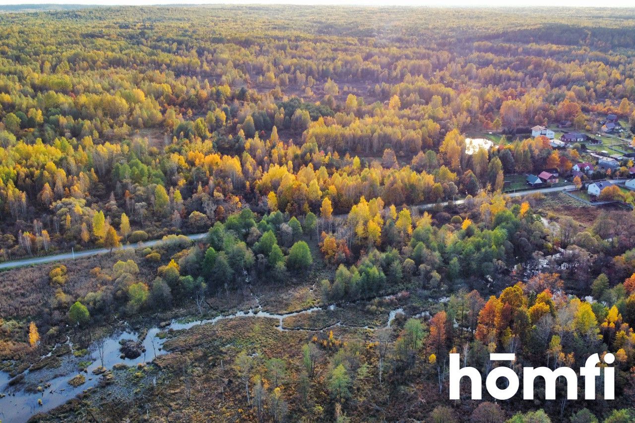 Działka z Warunkami Zabudowy przy rzece Jabłonica - Działka - Sprzedaż - Przysuski, Borkowice / Rusinów
