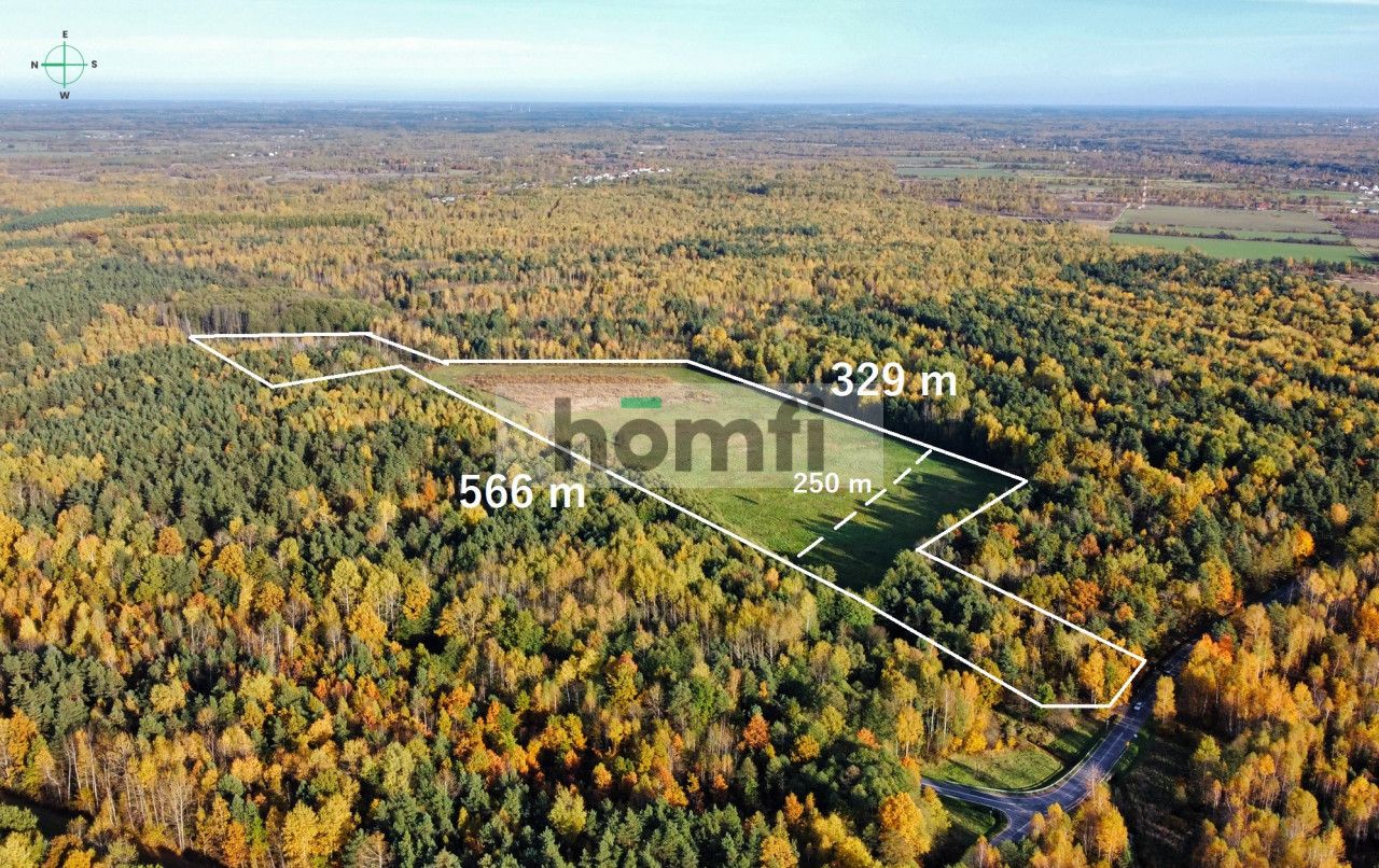 Działka w lesie z Warunkami Zabudowy. Ponad 13 ha - Działka - Sprzedaż - Szydłowiecki, Chlewiska