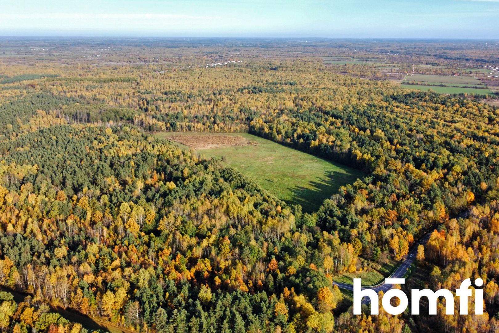 Działka w lesie z Warunkami Zabudowy. Ponad 13 ha - Działka - Sprzedaż - Szydłowiecki, Chlewiska