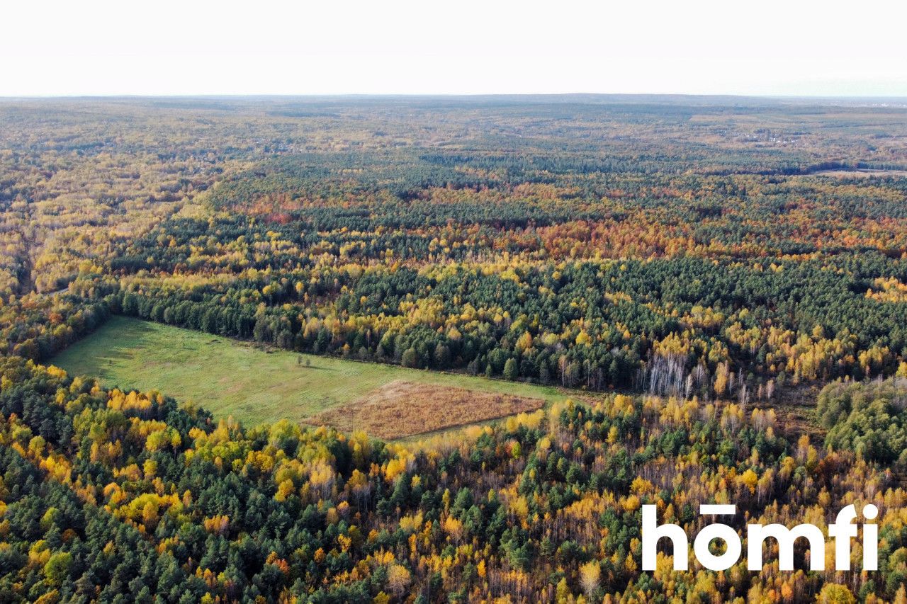 Działka w lesie z Warunkami Zabudowy. Ponad 13 ha - Działka - Sprzedaż - Szydłowiecki, Chlewiska