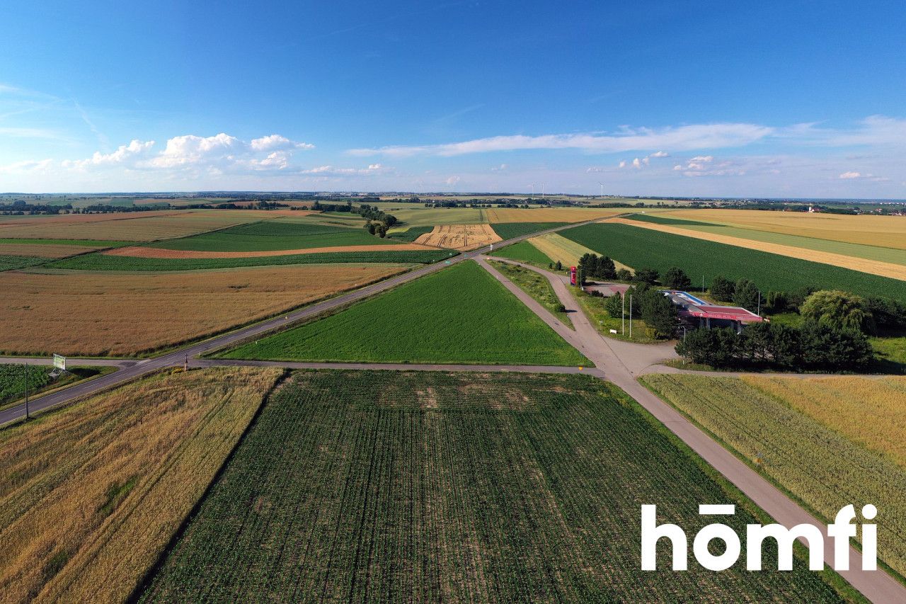 Agricultural service plot in a picturesque area right next to the border with the Czech Republic - Plot - Sale - Raciborski, Krzanowice / Pietraszyn