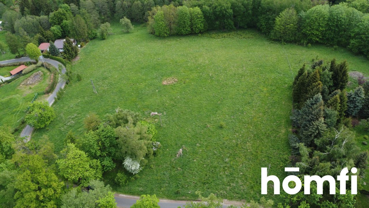 BUILDING Plot NEAR THE FOREST | 1.37 HA - Ділянка - Продаж - Wałbrzyski, Walim